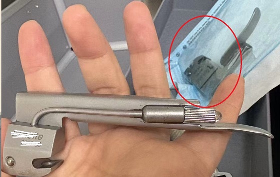 Shucman & domestic.jpg-small.jpg